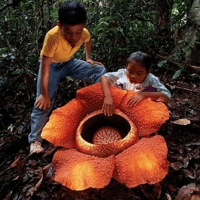 ��Щ�滨��ݣ����ܽг�������