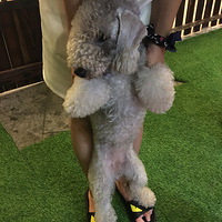 ����·���ǹ�ʱ���㳡 ����һ���¿��ĳ���