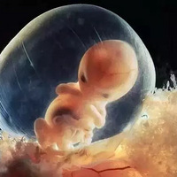 ��������̥�ﾹȻ��ô�б��£�