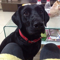 ���˴��ޣ��Ҵ�����