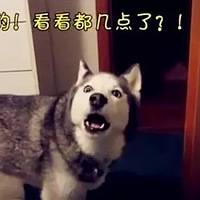 ������������û����������������