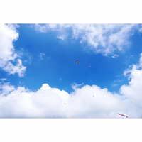 ԪС�����μ�