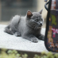 ��è�ܵ��⾰��