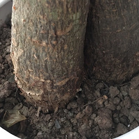 ������������������