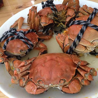 ��������+����������졿