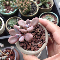 �ҵ����������е����ɫ��