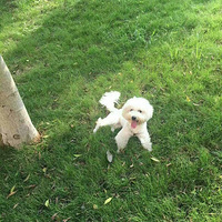 24����9����������ƺ�Ĺ���޳����帽������ʧһ����ɫĸ����