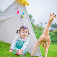 С�Ի���������