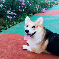 �ҵĻ����У�ƨ�ɹ�����