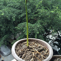 �ߴ�������ɳ�������ĵؿ�~~��������Ҷ~�˰���