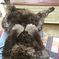 ��Ů����