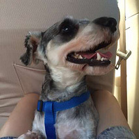 ɹ��ëѩ����һö ��ͼ^_^