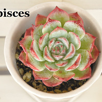 ����һ����⾪�޵ļ���