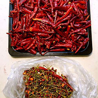 �ٴ�����ţ�⽴