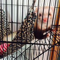 �ܵܵ�˽�գ����ߣ�����