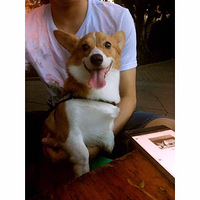 �����������Ŷ����μ����ܱ�