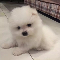 �����ռ�