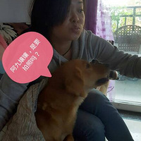 2���Ƶ�һ��