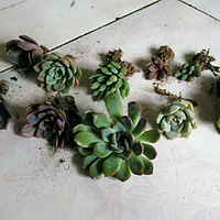 ��̨�����羰��