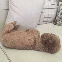 ����̸̸���ﹷ���ӵĽ������