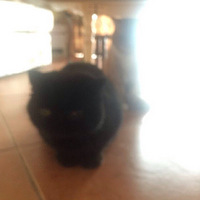 ���ɫ��ζ��ȫ�ĺ����ͣ��㲻���������+�����Ϻ決������