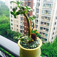 �ҵ����������