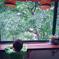 ��ĩ���Ŷ���ȥ���黳���������Ρ�