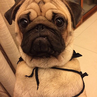 ˧�ò�Ҫ��Ҫ�ģ�