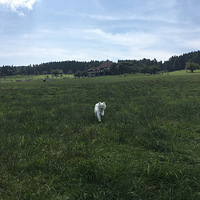 ������Ȯ����