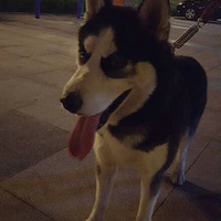 ˭�ҵĶ������ˣ��Ͻ����죬����ס