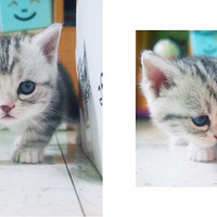 ɹɹ �ҼҸ����µ�С���̣������״��ˣ�