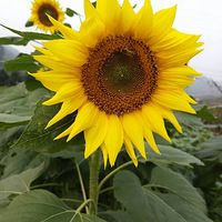 11.11ڵģԼ