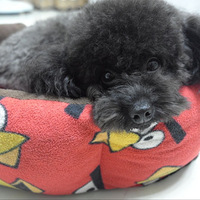 ����̫�����裬����ռǿ����ô��