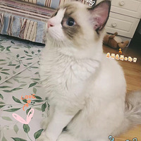 С��������ӭ���������յĺ��Ҹ�� �ɹ���