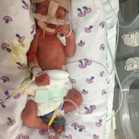 �������������ֵسɳ�~~����28�ܵ��������-���֣�