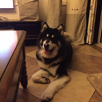 �Ҽ�����