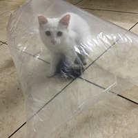 �ԴӼ���������֮�� �ҵ��ֻ��ͱ�������