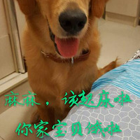 �������Ҹ�������