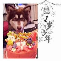 �ֶ�һ��߷��