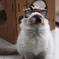 ��żè ��úС�ֶ�һ�ӳ�