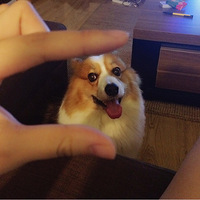 ���갢��DD����ֱ�ഺ����˳���ɣ�����ů