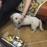 Ϊ���˵��Ҽҵİٱ��������ӡ�