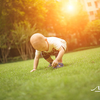 ��¼�Ҹ����ϴ�����֮��ӭ�������еڶ�������