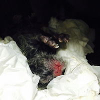 ��������������������