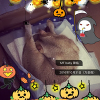 �������ˡ�65�� ������ֻ��ʥ�ڱ���