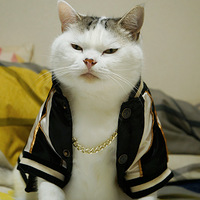 ��������߼����ף������߶��ϵ��Σ��ձ����ѵ�ʱ����������ˣ�