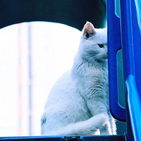 С������è̫���ˣ���֪����û�к�����Ը��