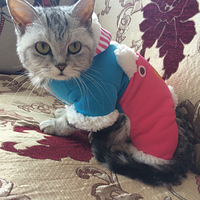 ��������������ͷè�������·�