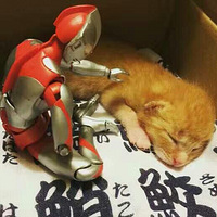 ��͹��һֱ���벻���������С������