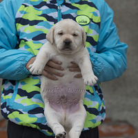 ������Щ�һ����±仯�ж��